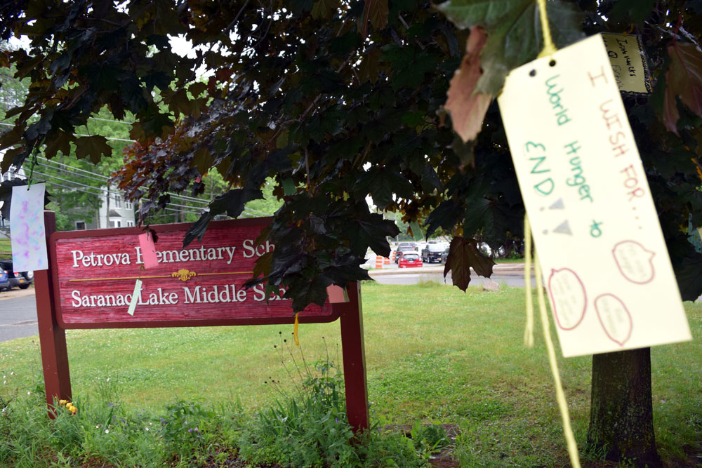 When you wish upon a tree … News, Sports, Jobs Adirondack Daily